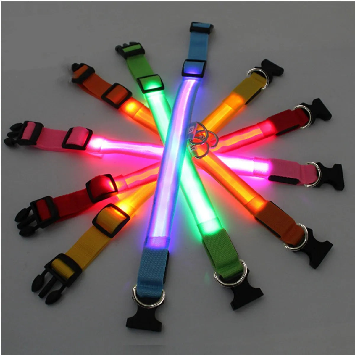 LED GLOWING DOG COLLAR SIZES X SMALL XX LARGE MANY COLORS!