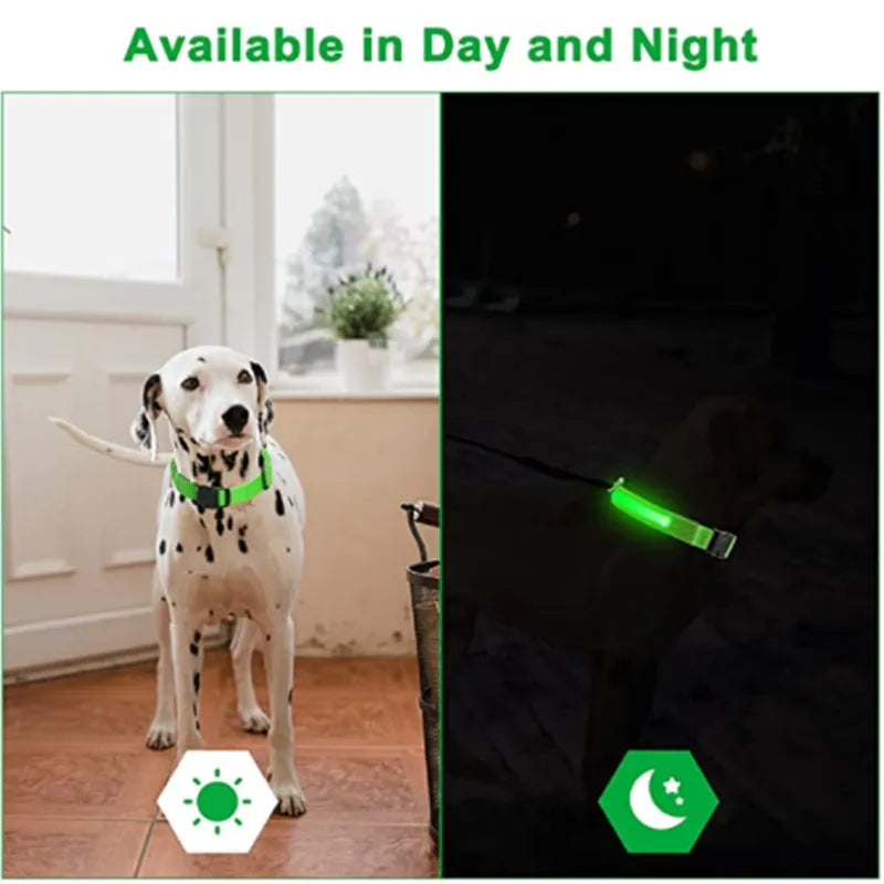 LED GLOWING DOG COLLAR SIZES X SMALL XX LARGE MANY COLORS!