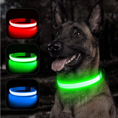 LED GLOWING DOG COLLAR SIZES X SMALL  XX LARGE    MANY COLORS!